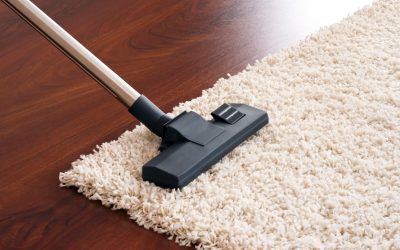 Bio-Steam Carpet Cleaning & Upholstery